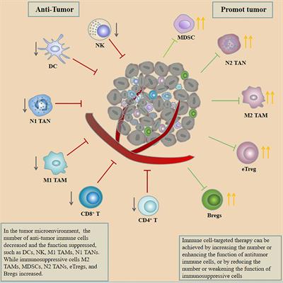 Therapeutic strategies for gastric cancer targeting immune cells: Future directions